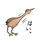 気ままなヨシゴイのスタンプ（個別スタンプ：7）
