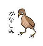 気ままなヨシゴイのスタンプ（個別スタンプ：9）