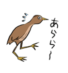 気ままなヨシゴイのスタンプ（個別スタンプ：18）