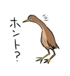 気ままなヨシゴイのスタンプ（個別スタンプ：22）
