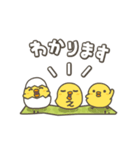 うごく！ひよこがいっぱい 毎日スタンプ（個別スタンプ：8）
