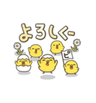 うごく！ひよこがいっぱい 毎日スタンプ（個別スタンプ：12）