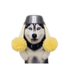 おもしろ犬 （NT）（個別スタンプ：7）
