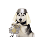 おもしろ犬 （NT）（個別スタンプ：9）