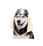 おもしろ犬 （NT）（個別スタンプ：15）