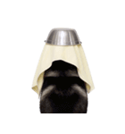 おもしろ犬 （NT）（個別スタンプ：16）