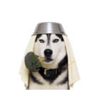 おもしろ犬 （NT）（個別スタンプ：19）