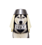 おもしろ犬 （NT）（個別スタンプ：21）
