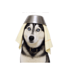 おもしろ犬 （NT）（個別スタンプ：22）