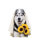 おもしろ犬 （NT）（個別スタンプ：23）