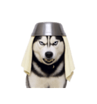 おもしろ犬 （NT）（個別スタンプ：32）
