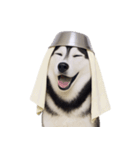 おもしろ犬 （NT）（個別スタンプ：40）