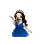 ミス・チワワ （NT）（個別スタンプ：17）