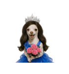 ミス・チワワ （NT）（個別スタンプ：32）