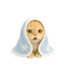 キュートなコールドキャット （NT）（個別スタンプ：1）