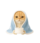 キュートなコールドキャット （NT）（個別スタンプ：12）