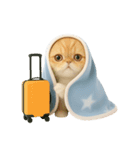 キュートなコールドキャット （NT）（個別スタンプ：16）