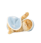 キュートなコールドキャット （NT）（個別スタンプ：19）