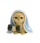 キュートなコールドキャット （NT）（個別スタンプ：21）
