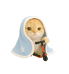 キュートなコールドキャット （NT）（個別スタンプ：24）