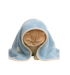 キュートなコールドキャット （NT）（個別スタンプ：31）