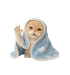 キュートなコールドキャット （NT）（個別スタンプ：34）