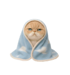 キュートなコールドキャット （NT）（個別スタンプ：35）