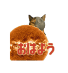 ハニーちゃん オニャンコラージュver.1.1（個別スタンプ：1）