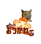 ハニーちゃん オニャンコラージュver.1.1（個別スタンプ：5）