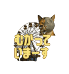 ハニーちゃん オニャンコラージュver.1.1（個別スタンプ：8）