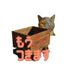 ハニーちゃん オニャンコラージュver.1.1（個別スタンプ：9）