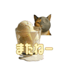 ハニーちゃん オニャンコラージュver.1.1（個別スタンプ：10）