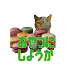 ハニーちゃん オニャンコラージュver.1.1（個別スタンプ：12）