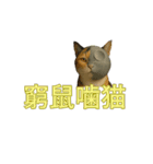 ハニーちゃん オニャンコラージュver.1.1（個別スタンプ：20）