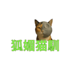 ハニーちゃん オニャンコラージュver.1.1（個別スタンプ：21）