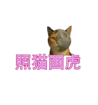 ハニーちゃん オニャンコラージュver.1.1（個別スタンプ：22）