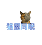 ハニーちゃん オニャンコラージュver.1.1（個別スタンプ：23）