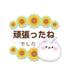 ポメラニアン/メッセージ花束夏のひまわり4（個別スタンプ：8）