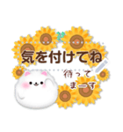 ポメラニアン/メッセージ花束夏のひまわり4（個別スタンプ：20）