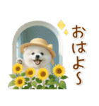 癒しポメラニアンの「夏」の毎日（個別スタンプ：1）