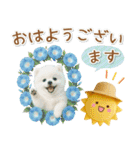 癒しポメラニアンの「夏」の毎日（個別スタンプ：2）