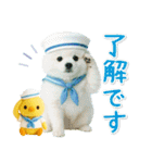 癒しポメラニアンの「夏」の毎日（個別スタンプ：7）
