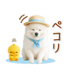 癒しポメラニアンの「夏」の毎日（個別スタンプ：8）