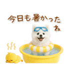 癒しポメラニアンの「夏」の毎日（個別スタンプ：10）
