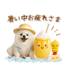 癒しポメラニアンの「夏」の毎日（個別スタンプ：12）