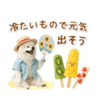 癒しポメラニアンの「夏」の毎日（個別スタンプ：15）