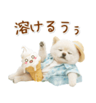 癒しポメラニアンの「夏」の毎日（個別スタンプ：18）