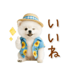 癒しポメラニアンの「夏」の毎日（個別スタンプ：21）