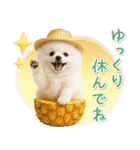 癒しポメラニアンの「夏」の毎日（個別スタンプ：23）