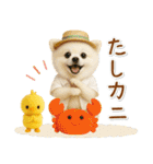 癒しポメラニアンの「夏」の毎日（個別スタンプ：32）